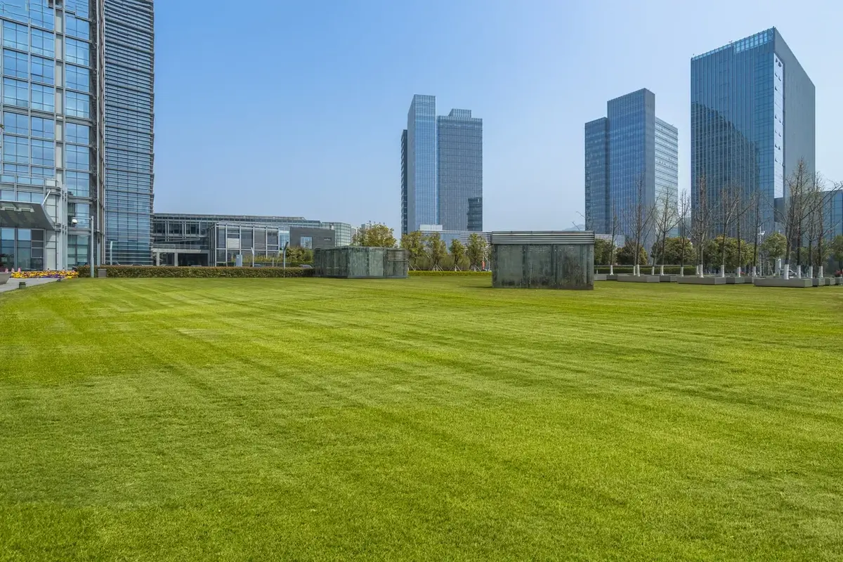 Wide, freshly mowed commercial lawn in front of office buildings